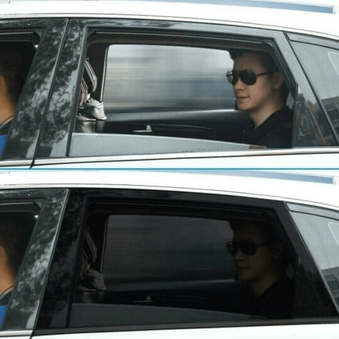 מגן שמש מתכוונן לרכב