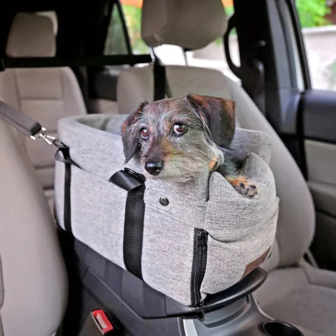 Cesta de Viaje para Perros en Coche – Perfecta para los Pequeños Compañeros 