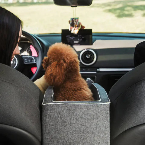 Cesta de Viaje para Perros en Coche – Perfecta para los Pequeños Compañeros 