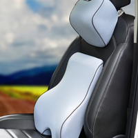 Traagschuim lendensteun en hoofdsteunkussen - Comfort en verlichting voor de rug